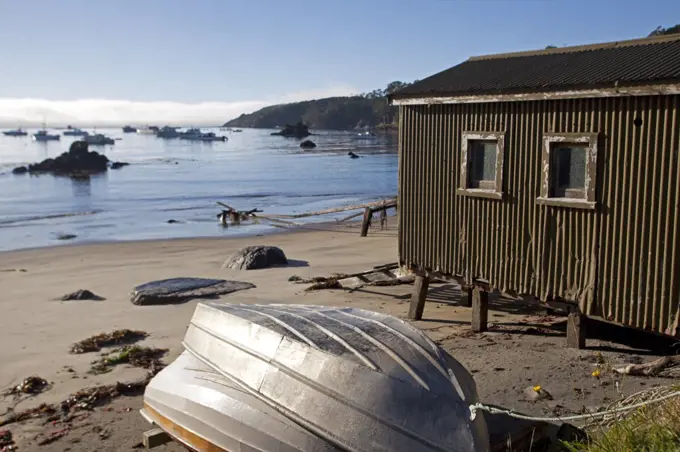 New Zealand, South Island, Stewart Island.   The remote Island is a popular destination for tourists and travellers looking for slow paced nature based experience