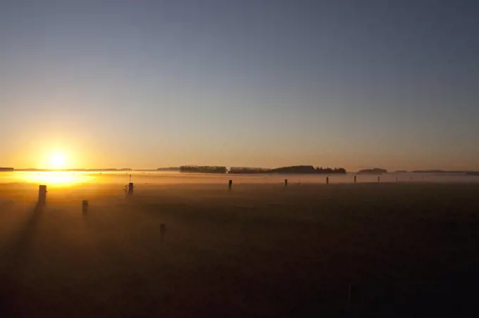 New Zealand, South Island.  Sunset over a misty field during winter on the Canturbury Plains south of Christchurch