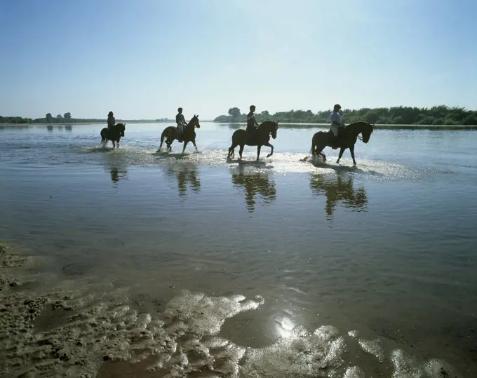 A group of horsemen on the Tagus river, Santarem, Portugal