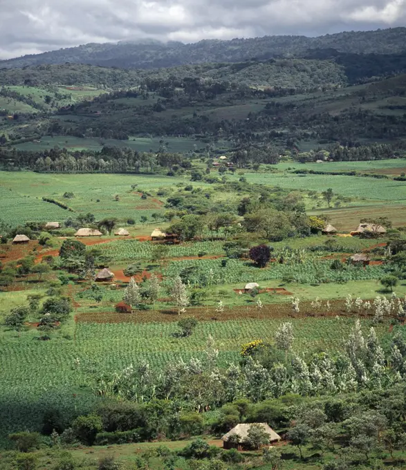 Rich farming country near the Ngorongoro Highlands of Northern Tanzania.