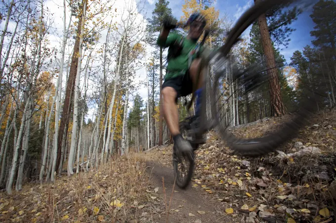 USA, Arizonia, Grand Canyon north rim, Kaibab National Forest.  The vast expanse of national park areas away from the main tourist areas of the Grand Canyon provide a mountain biker mecca (MR)