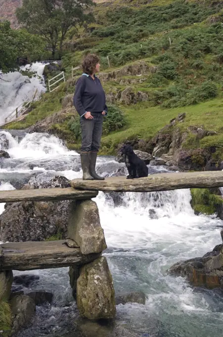 Wales, Conwy, Snowdonia.  Woman and dog on a rustic bridge over the Afon Cwm Llan alongside the Watkin Path on the route into Snowdon