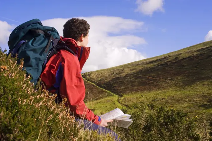 Wales, Clwyd.  A trekker stops to read his map as he approaches Moel Famau in the Clywydian Hills.