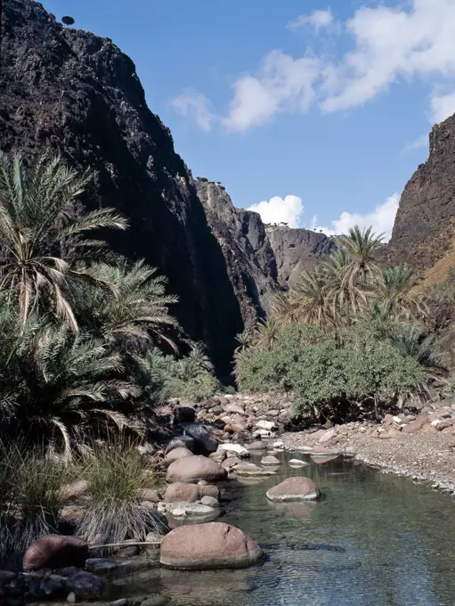 The Haghir Mountains form a spectacular spine in the centre and northwest of Socotra Island. Rising to a height of almost 5,000 feet, they are frequently shrouded in cloud and mist resulting in lush vegetation at higher altitudes. The beautiful Diharo Wadi is fringed with date palms and has a permanent stream running through it, which is an important water resource for many of the islands inhabitants.