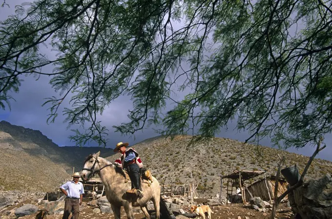 Chile, Hurtado. Horse riding in the foothills of the Andes in Hurtado, Northern Chile