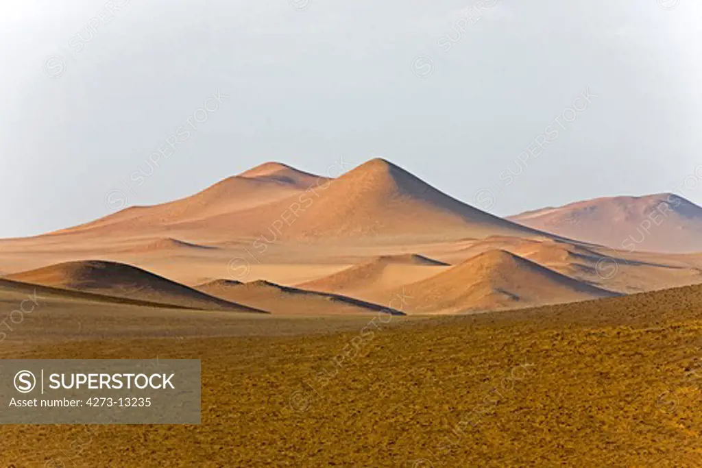 Landscape In Paracas National Park, Peru