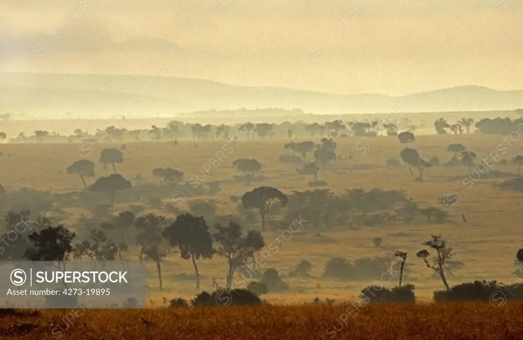 Foggy Savannah at Masai Mara Park in Kenya