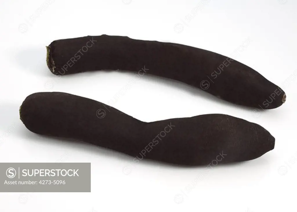 Black Radish, Raphanus Sativus Niger, Vegetable Against White Background