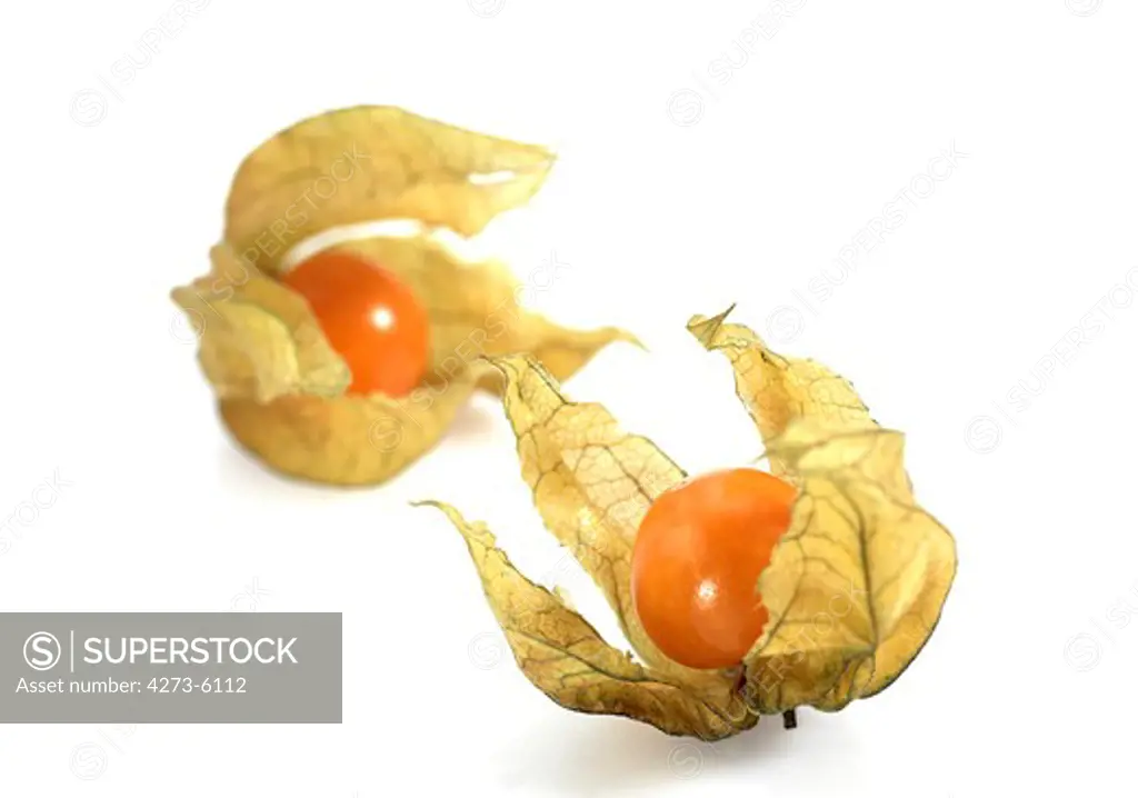 Chinese Lantern Fruit, Physalis Alkekenge, Fruits Against White Background