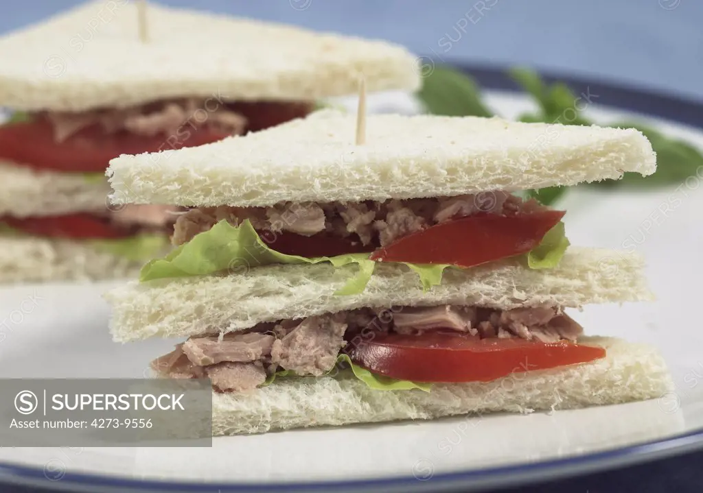 Fast Food, Club Sandwich With Salad And Tomato