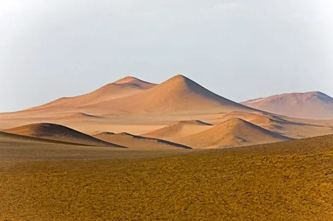 Landscape In Paracas National Park, Peru