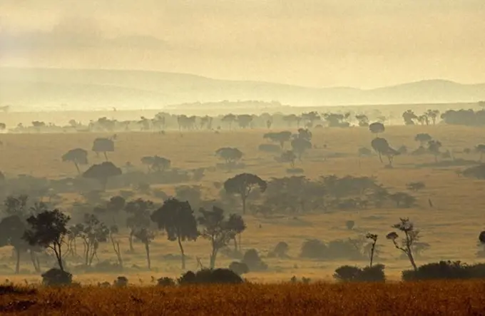 Foggy Savannah at Masai Mara Park in Kenya