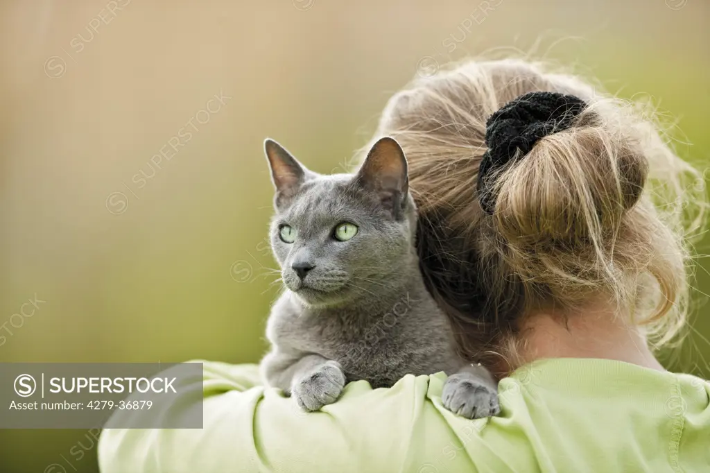 Russian Blue cat on shoulder