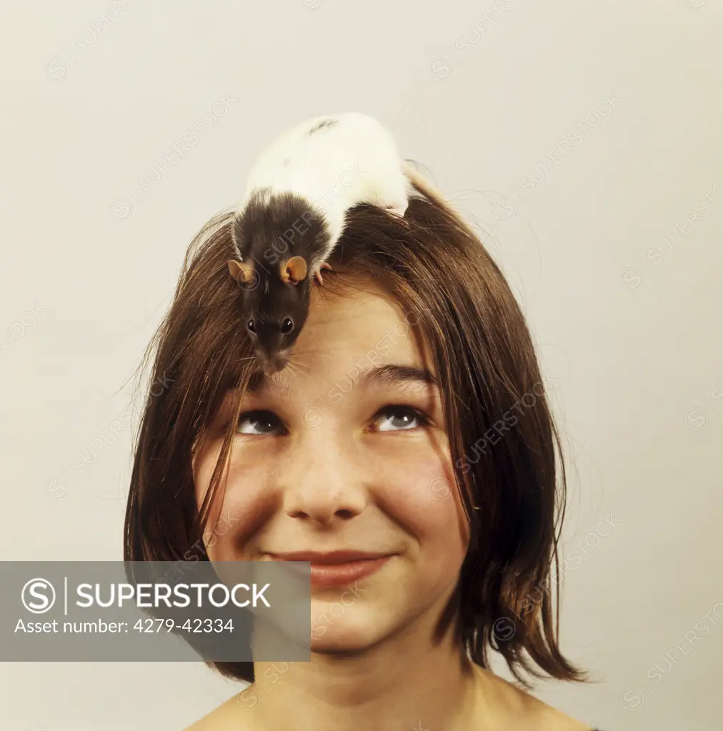 rat sitting on girls head