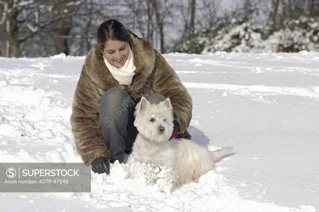 Westhighland Terrier