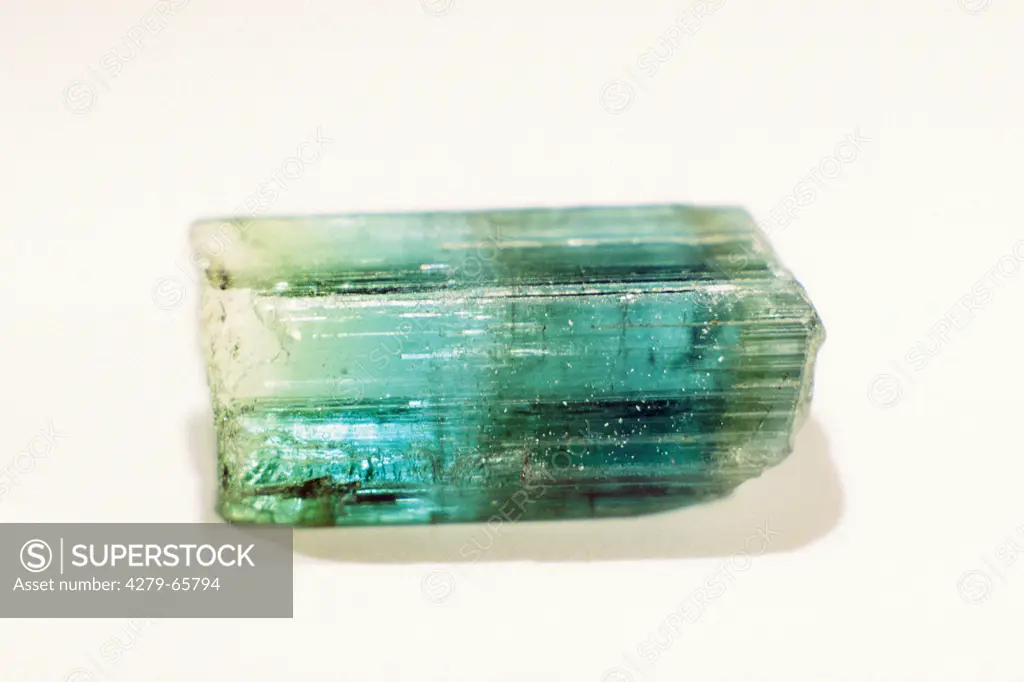 DEU, 2006: Green Tourmaline. Crystal showing banded intensity of colouring, studio picture.