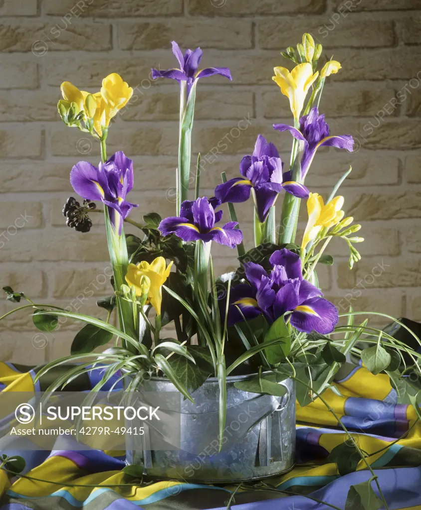 bouquet , Iris and Freesia