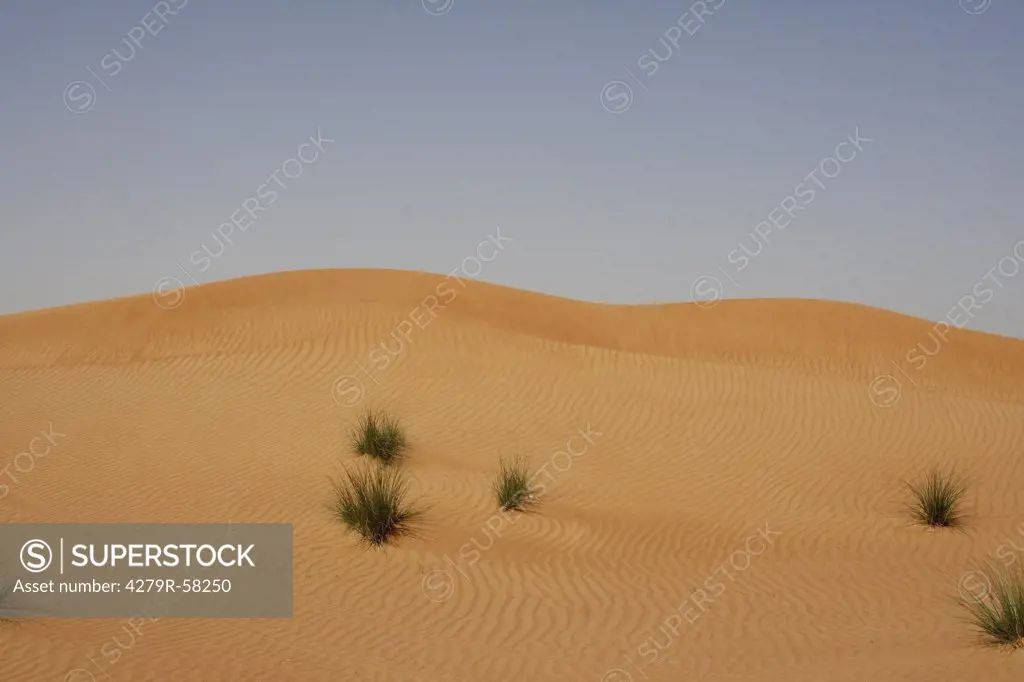 Dubai - desert