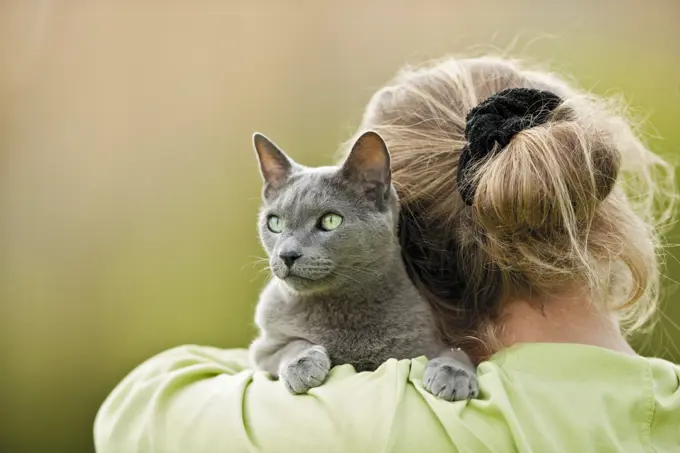 Russian Blue cat on shoulder