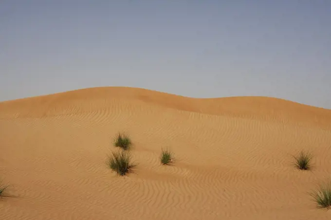 Dubai - desert