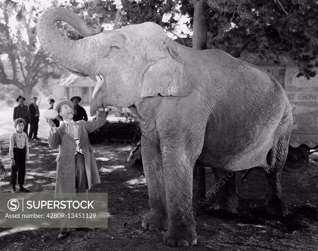 Man feeding elephant with wide open mouth All persons depicted are not longer living and no estate exists Supplier warranties that there will be no mo...