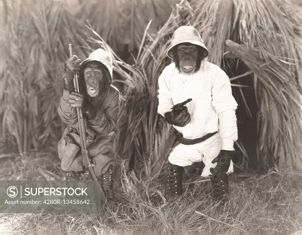 Two monkeys dressed in safari outfits