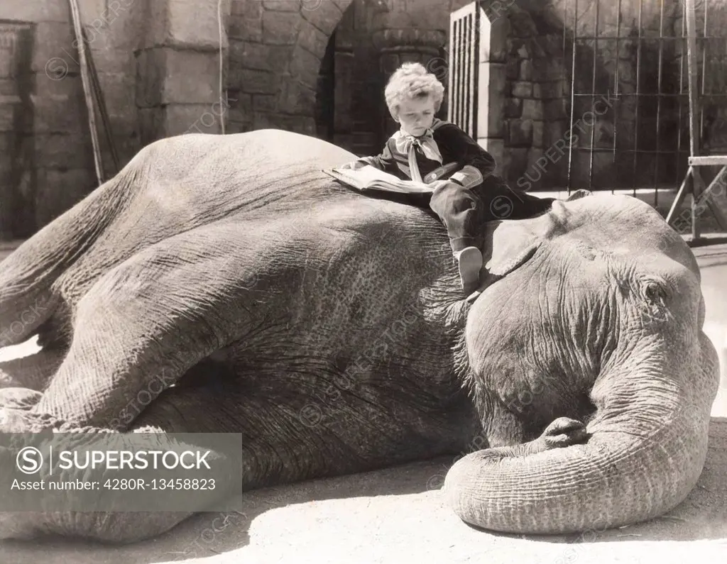 Little boy reading a book on sleeping elephant