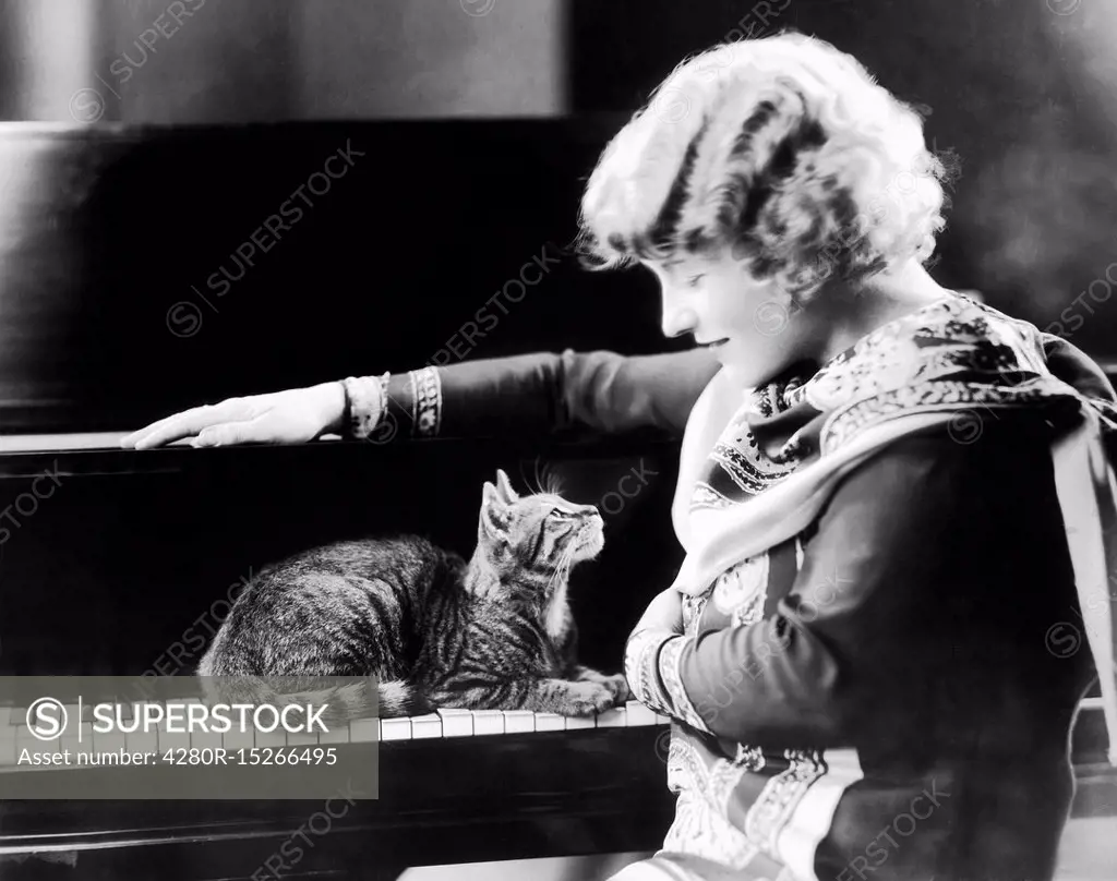 Cat sitting on piano gazing up at woman