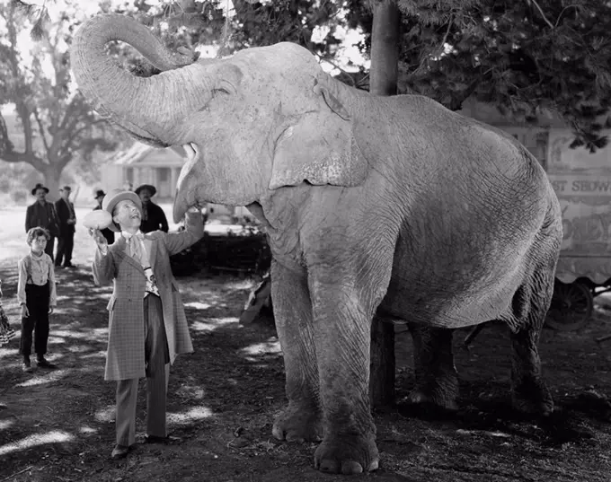 Man feeding elephant with wide open mouth All persons depicted are not longer living and no estate exists Supplier warranties that there will be no mo...