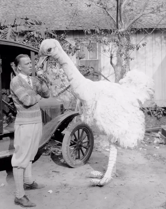 Man with large fake ostrich All persons depicted are not longer living and no estate exists Supplier warranties that there will be no model release is...