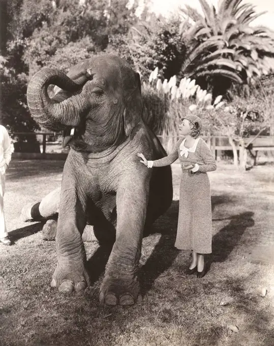 Young woman stroking elephant in zoo