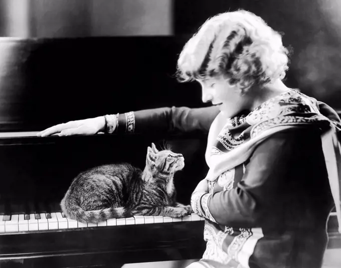 Cat sitting on piano gazing up at woman