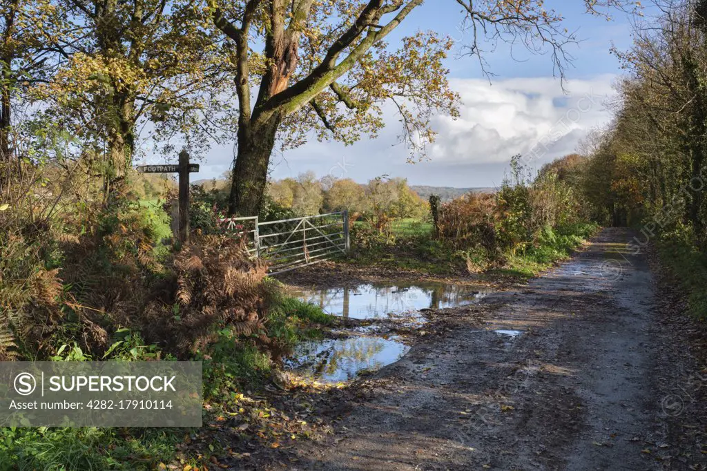 Wet and narrow country road in rural South Wales.