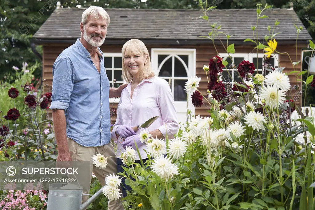 Portrait Of Mature Couple Working In Flower Beds In Garden At Home