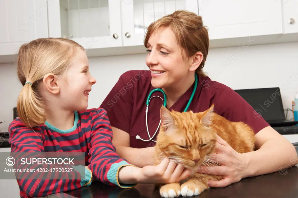 Girl Taking Pet Cat To Vet For Examination