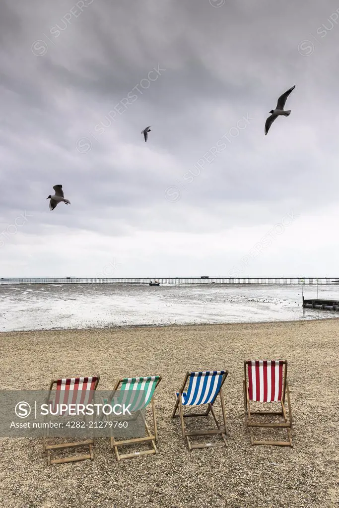 Seagulls fly over empty deckchairs on Jubilee Beach in Southend on a cloudy day.