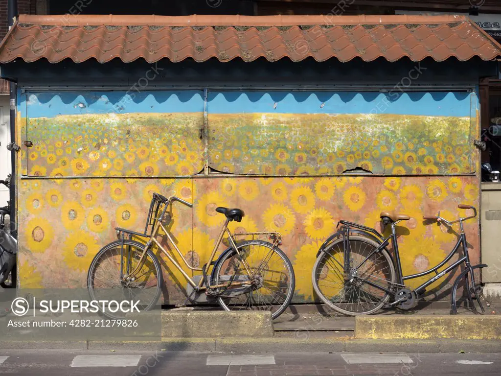 Sunflowers combined with bicycles in the centre of Amsterdam.