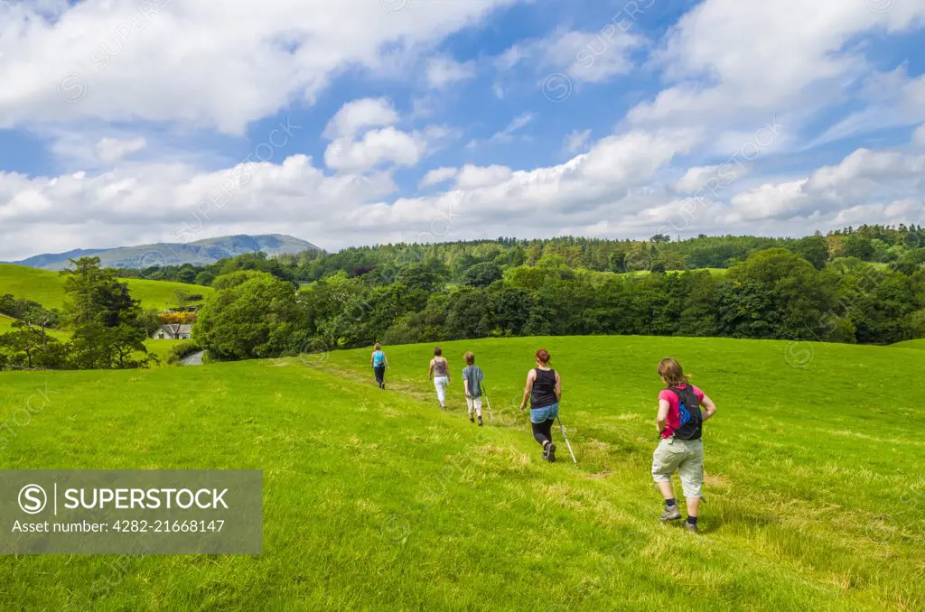 A family walking through a meadow towards Hawkshead Hill in the English Lake District.