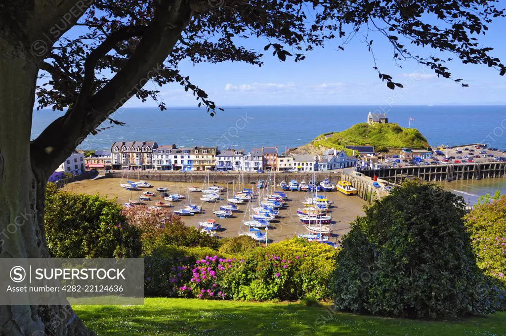 An elevated view of Ilfracombe harbour in North Devon.