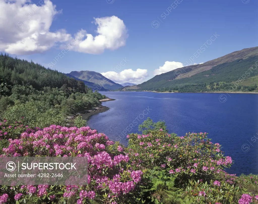 Scotland, Highland, Glencoe. Loch Leven in the summertime.