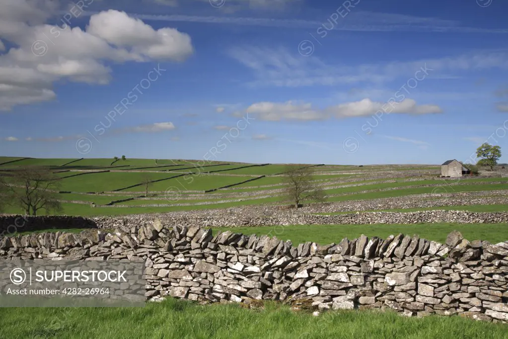 England, Derbyshire, Litton. Field enclosures and barn at Litton in the Peak District National Park.