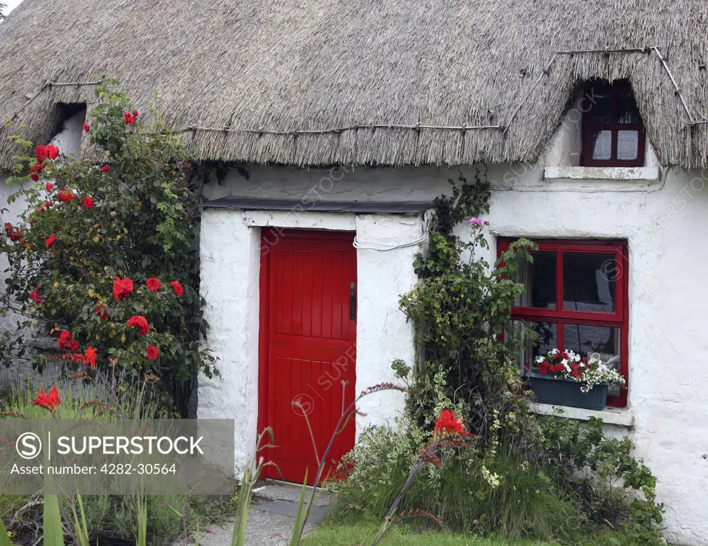 Republic of Ireland, County Louth, Clogherhead. A thatched cottage in the fishing village of Clogherhead.