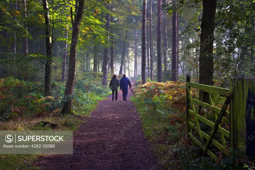 England, Leicestershire, Woodhouse Eaves. A couple walking a woodland path.