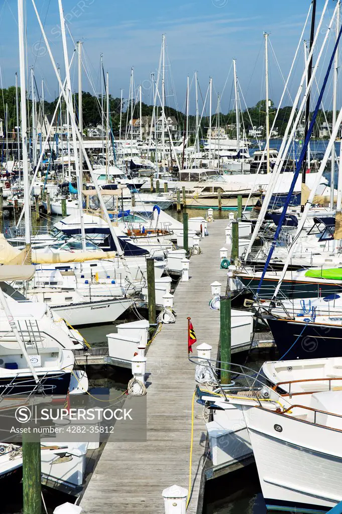 USA, Maryland, Annapolis. Docked sailboats in the Annapolis marina.