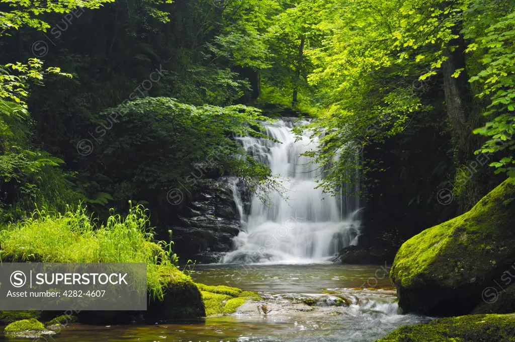 England, Devon, Lynmouth. Waterfall on Hoaroak Water at Watersmeet on Exmoor near Lynmouth. Lynmouth is famous for flooding in 1952 which resulted in the deaths of 34 people.