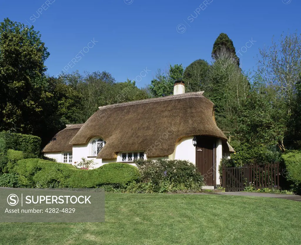 England, Somerset, Selworthy. A thatched cottage in the National Trust village of Selworthy.