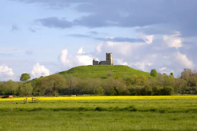 England, Somerset, Burrowbridge. St Michael's Church on Burrow Mump across pasture on the Somerset Levels.