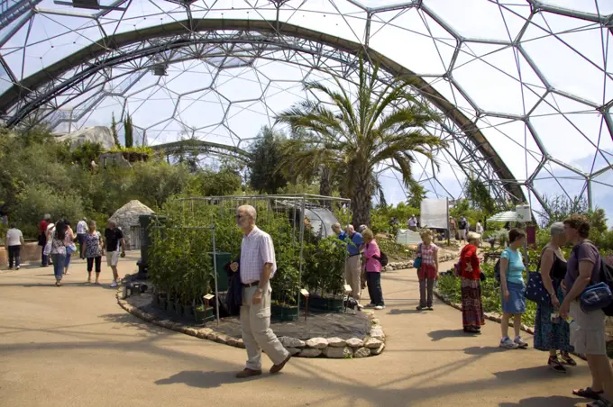 England, Cornwall, Bodelva, St Austell. Interior of the Mediterranean biome at the Eden Project near St Blazey.