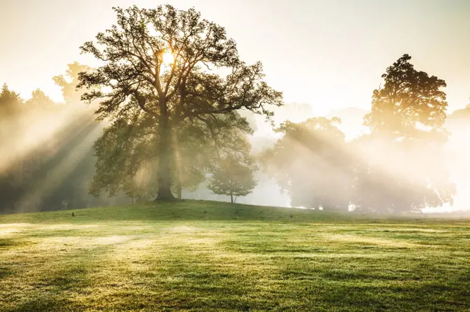 The parkland on the Bowood Estate in Wiltshire in autumn.