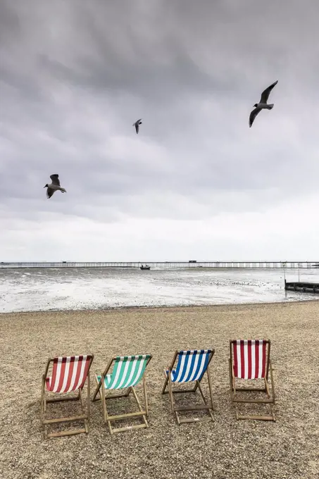 Seagulls fly over empty deckchairs on Jubilee Beach in Southend on a cloudy day.